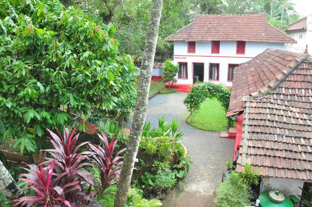 Eden Garden Farmstay, Kochi Luaran gambar